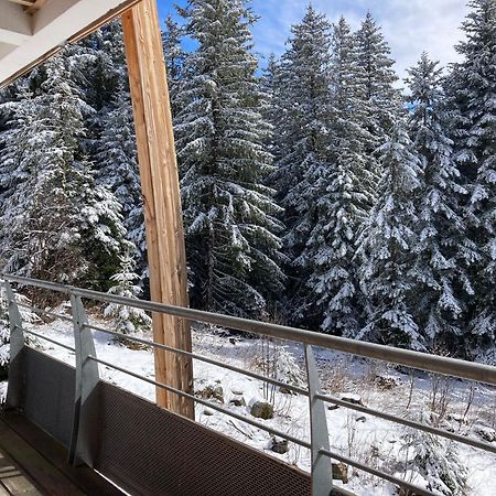 Studio Chamrousse 1700 Pour 4 Personnes - Au Calme - Avec Wifi Extérieur photo