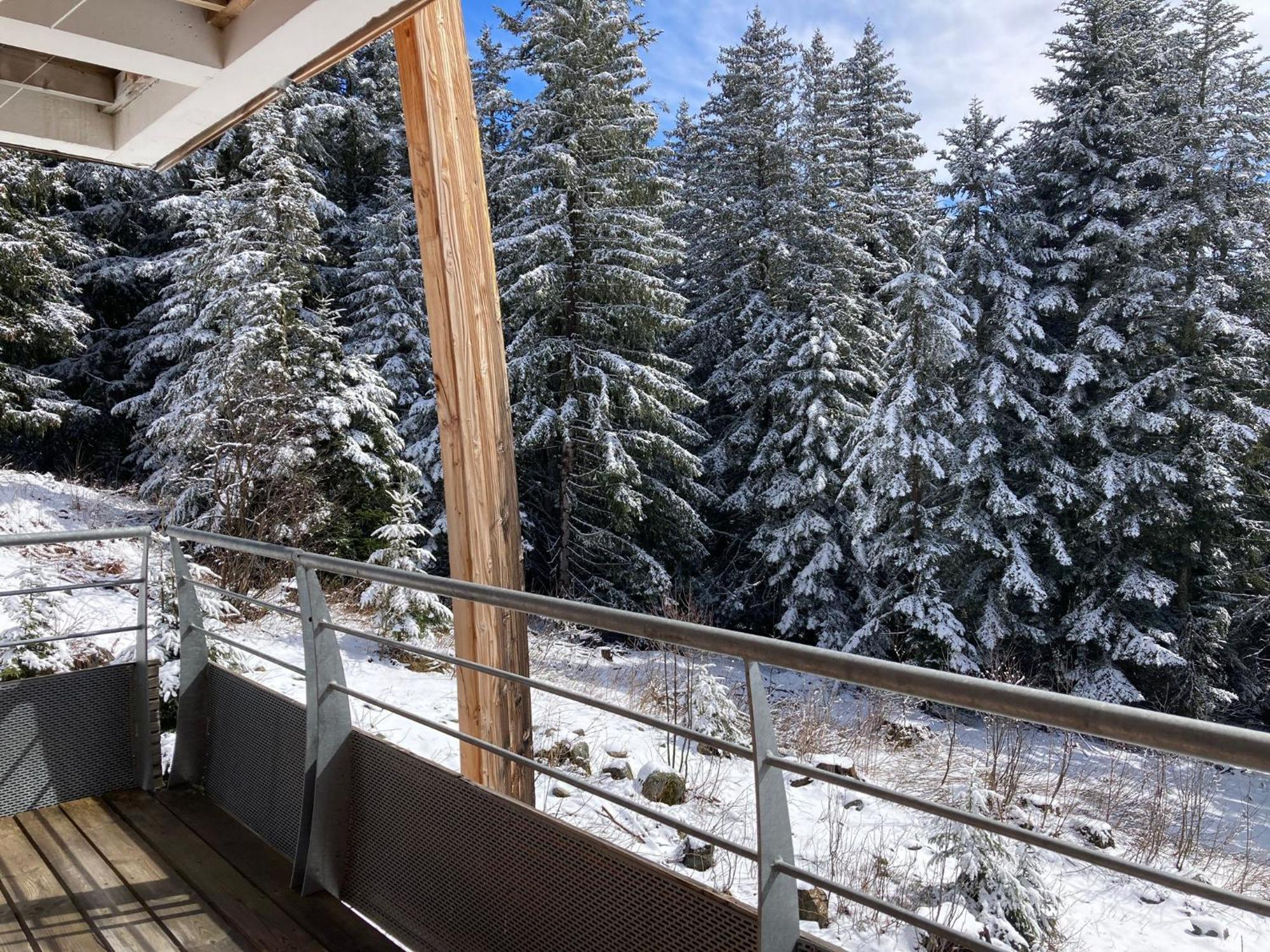 Studio Chamrousse 1700 Pour 4 Personnes - Au Calme - Avec Wifi Extérieur photo